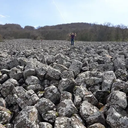 招待所 Au Pont D'olt Saint-Côme-dʼOlt